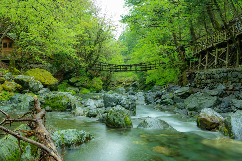 The Kazurabashi vine suspension bridge over the river in Tokushima's Iya Valley