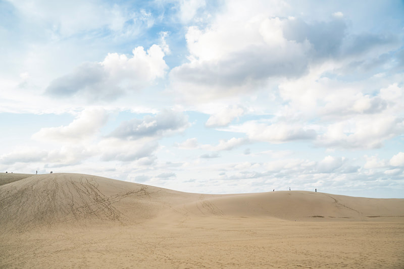 Camels and visitors on the wind-sculpted ridges of the Tottori Sand Dunes