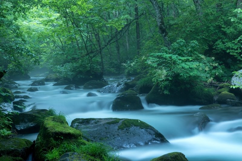 Autumn foliage along Oirase Gorge in the Tohoku region